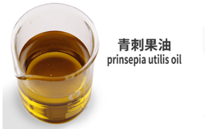 青刺果油：源自自然的保湿抗衰产品
