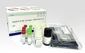 国货之光 ——Seebio(R) TEV 蛋白酶（TEV Protease）活性测定试剂盒