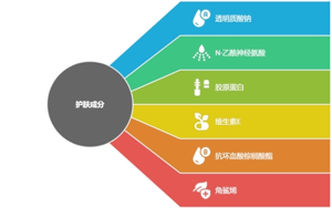 护肤新趋势：高效功能食品原料助力肌肤