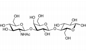 乳糖-N-三糖：守护新生儿肠道健康